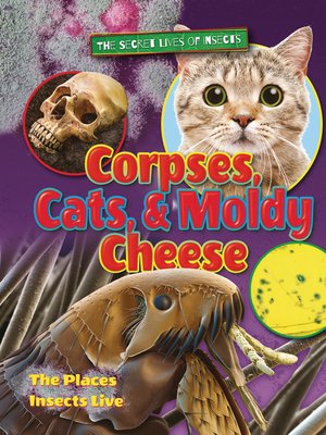 cover image of Corpses, Cats, and Moldy Cheese